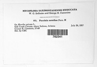 Image Associated With the Occurence